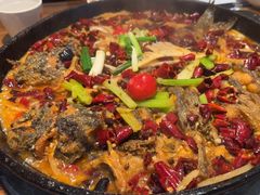 -老板恋上鱼(印象城店)