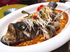 油泼老虎斑-中苑海韵