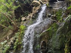 -海南槟榔谷黎苗文化旅游区
