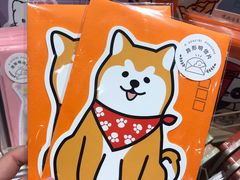 -猫的天空之城概念书店(杭州南宋御街店)