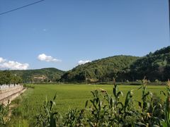 -南泥湾风景区