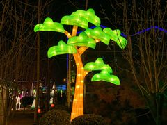 -南宫五洲植物乐园