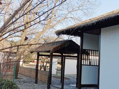 -北京世界公园