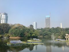 -两江幸福广场