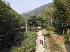 -仙霞关景区