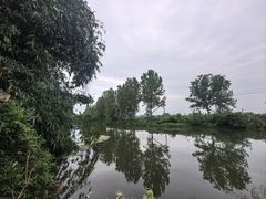 -苏记溪河鲢鱼庄(天府新区店)