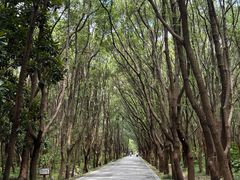 -同里国家湿地公园