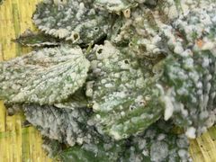 -王家土菜馆(霍山县店)