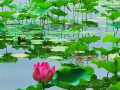 -承德避暑山庄景区