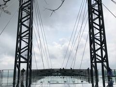 -呀诺达热带雨林