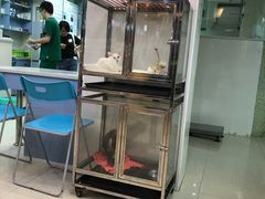 -瑞鹏·疫苗·绝育·宠物医院(金沙洲店)