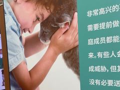-瑞派中心宠物医院·CT·核磁·神经专科