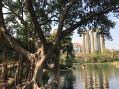 -晓港公园