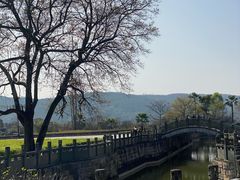 -南华禅寺
