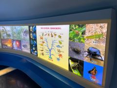 -上海昆虫博物馆