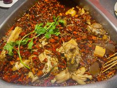-味之绝·美蛙鱼头火锅(科巷店)