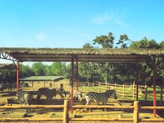 -西安秦岭野生动物园
