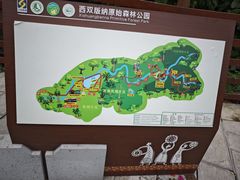 -野象谷景区