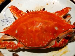 -星伦多自助料理(爱琴海店)