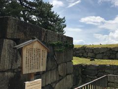 -名古屋城