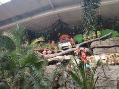 -南宫五洲植物乐园