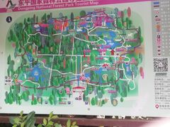 -东平国家森林公园