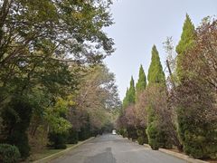 -金龙寺国家森林公园