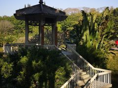 -广州雕塑公园