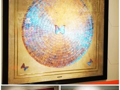 -上海昆虫博物馆