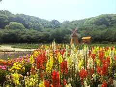 -苏州上方山国家森林公园