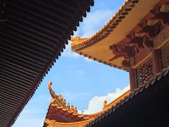 -深圳仙湖植物园