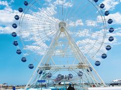 -秦皇岛乐岛海洋王国