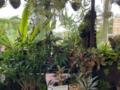 -自然餐厅(Phuket)