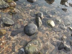 -长江澳风力发电景观区