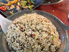 -蘑统田下·野生菌火锅