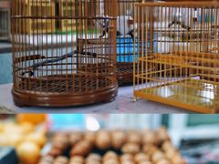 -万商花鸟市场