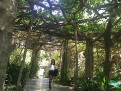 -广西壮族自治区药用植物园