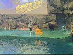 -威海华夏城景区