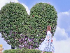 -东莞植物园