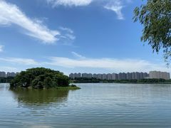 -洋湖国家湿地公园