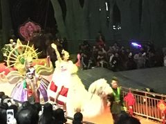 -灵玲国际马戏城
