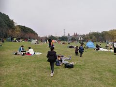 -昆山城市生态森林公园