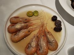 -圆苑(静安寺店)