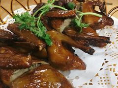 红烧乳鸽-新合益乡村农庄