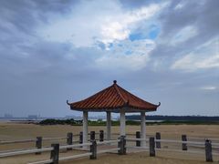 -东郊椰林