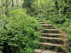 -青龙山国家森林公园