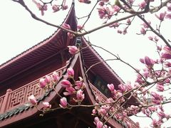 -堤角公园