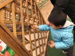 -萌宠亲子动物乐园(槐房万达店)