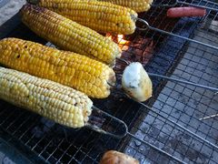 -西涌国际滨海旅游区