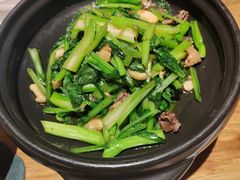 -老阿妈蒙古村·蒙古包·草原文化·歌舞表演(老君堂店)